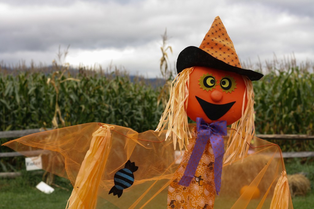 Life On The Farm – Bruce’s&nbsp;Influence