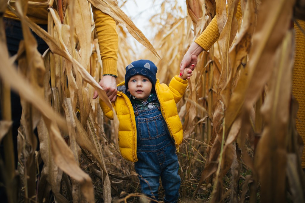Testing Our Dream of a Corn Maze – Our&nbsp;Crossroad