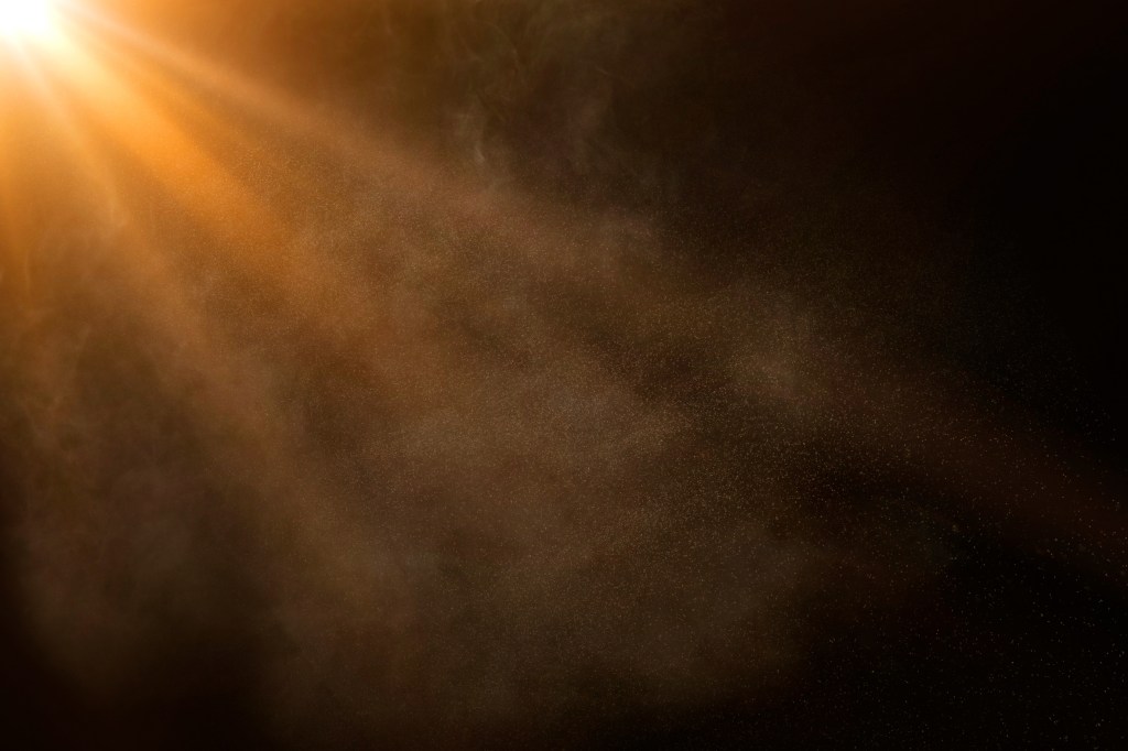 Saturday’s Warriors