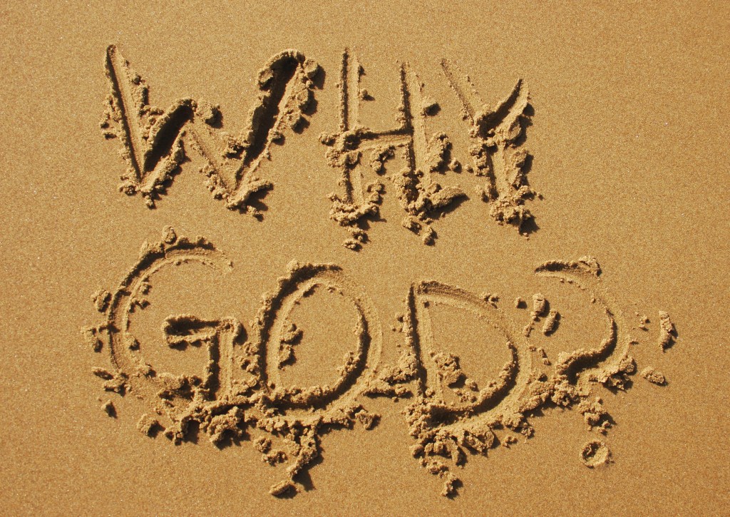 The Hero’s Journey